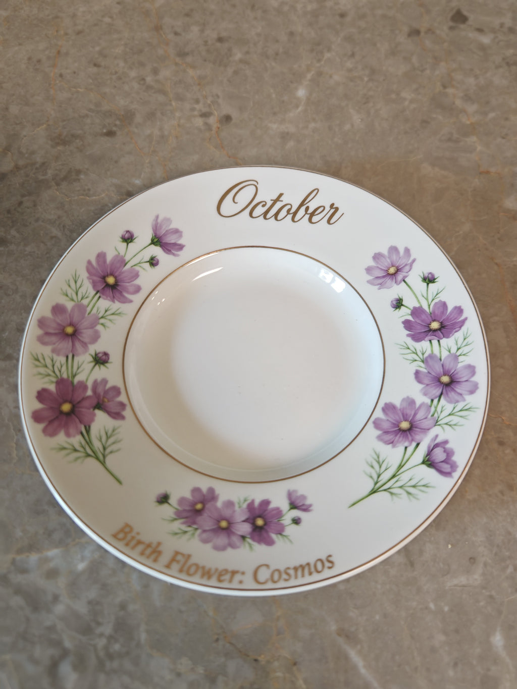 Cosmos’s Bloom|Wake up your October with the freedom of the Cosmos.