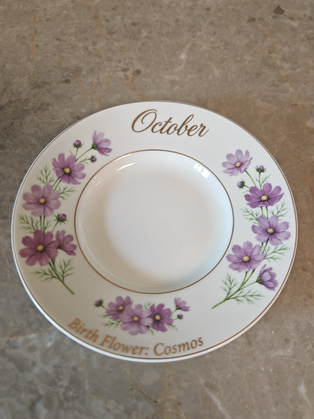 Cosmos’s Bloom|Wake up your October with the freedom of the Cosmos.