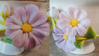 Cosmos’s Bloom|Wake up your October with the freedom of the Cosmos.