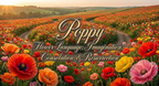 Poppy’s Bloom|Wake up your August with the elegance of the Poppy.