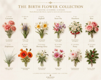 Poppy’s Bloom|Wake up your August with the elegance of the Poppy.