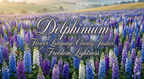 Delphinium’s Bloom |A Hand-Sculpted Porcelain Gift for Meaningful Moments