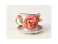 Peony’s Bloom|Wake up your November with the richness of the Peony.